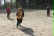 Vier Kinder laufen mit einem Fußball über einen Sand-Fußballplatz.