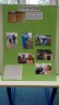 Ein grünes Plakat: Darauf sind Bilder vom Besuch der Stolpersteine in Essen-Steele und Frau Koch im Altersheim geklebt.